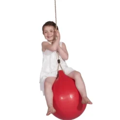 Banlancoire Swing Ball