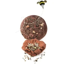 Bombes De Graines - Play For Future