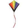 Cerf Volant Arc En Ciel