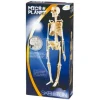 Coffret Science Squelette Corps Humain