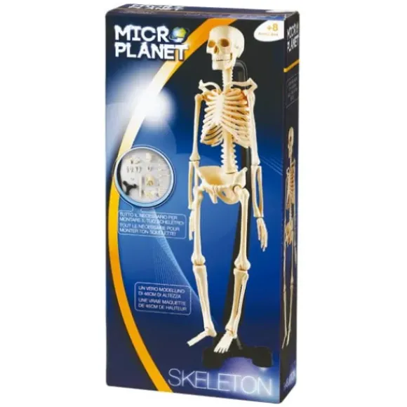 Coffret Science Squelette Corps Humain