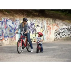 Draisienne Go Bike Elite Sauge