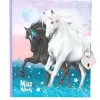Journal Intime Avec Cadenas Miss Melody
