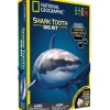 Kit De Fouille Dent De Requin