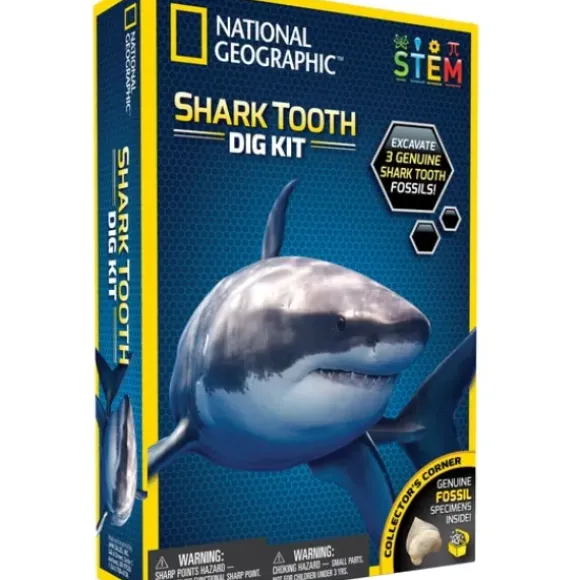 Kit De Fouille Dent De Requin
