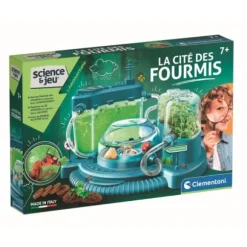 La Cite Des Fourmis