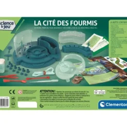 La Cite Des Fourmis