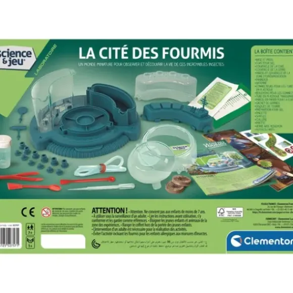 La Cite Des Fourmis