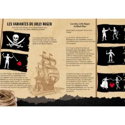Les Aventures Des Pirates 3D