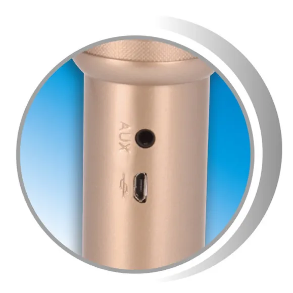 Micro Bluetooth Karaoké