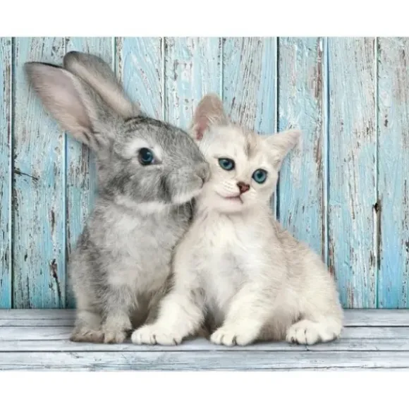 Puzzle 500 Pieces - Chat Et Lapin