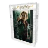 Puzzle 300 Pieces Hermione Avec Boite En Metal