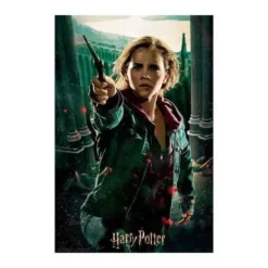 Puzzle 300 Pieces Hermione Avec Boite En Metal