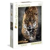 Puzzle 1000 Pieces Jaguar
