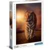 Puzzle 1500 Pieces Tigre