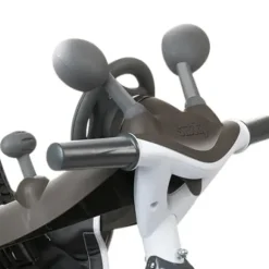 Tricycle Explorer 4 En 1 Iris