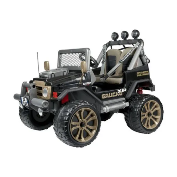 Vehicule Gaucho Xp 24V